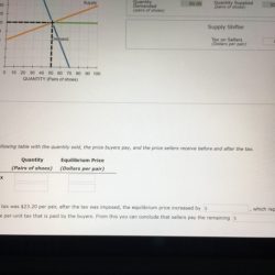 Tax consumers producers pay amount same confused am