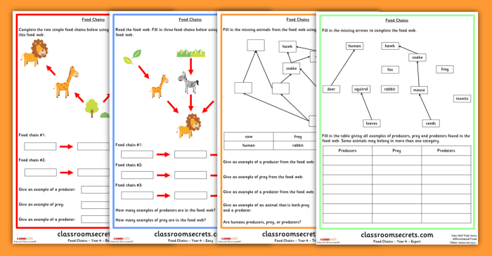 Food webs and food chains worksheet answers