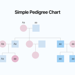 Pedigree cystic fibrosis