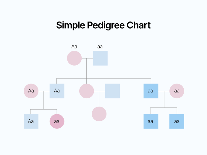 Pedigree cystic fibrosis