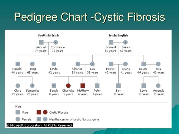 Pedigree chart for cystic fibrosis