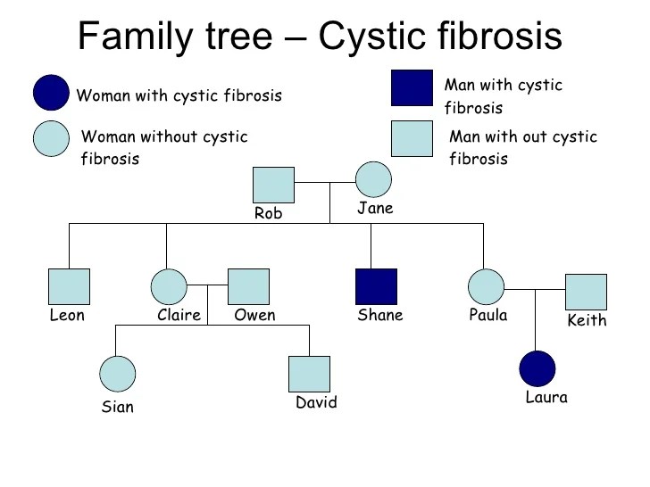 Pedigree chart for cystic fibrosis