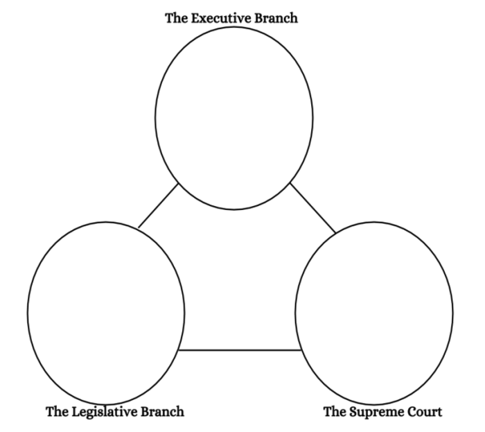 Graphic organizer for three branches of government