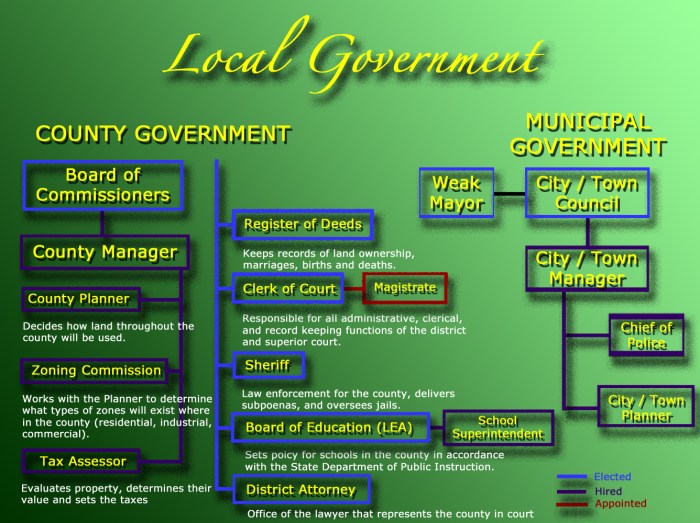 Graphic organizer for three branches of government