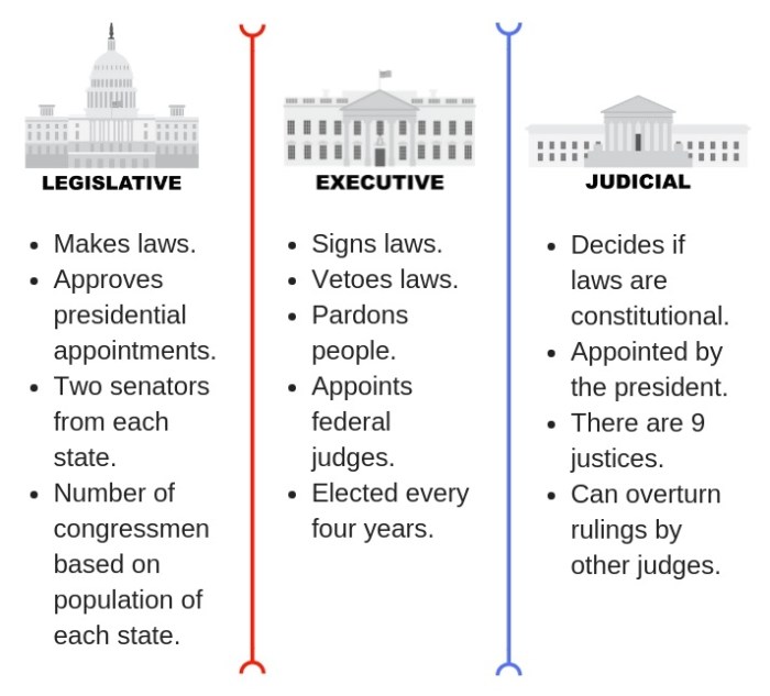 Graphic organizer for three branches of government